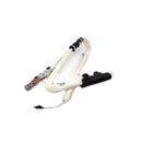 Módulo de bolsa de cortina de aire OEM derecho 85020 B1300 para Hyundai Genesis G80 2015-2020