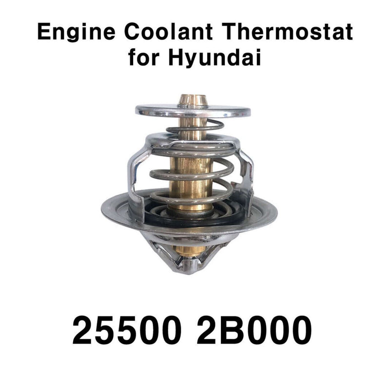 OEM 255002B000 Engine Coolant Thermostat for Hyundai Elantra Accent Veloster N
