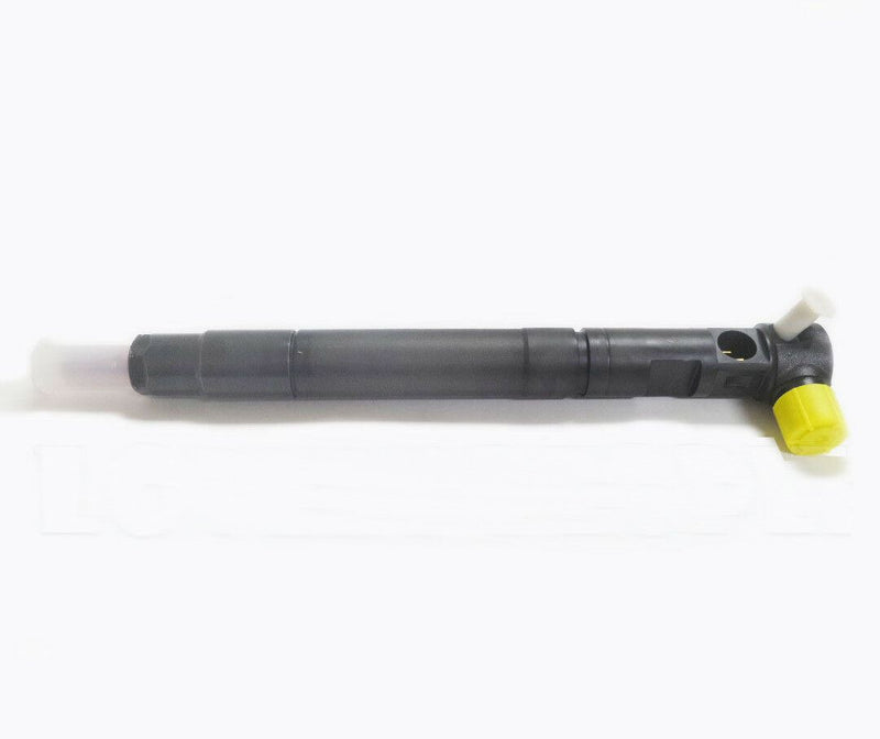 New Delphi CRDI Fuel Diesel Injector R00301D for Ssangyong Actyon Rexton
